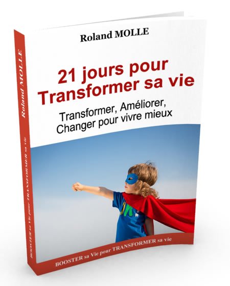 TransformerSaVie450